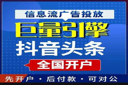 成功SEM服务案例分析报告